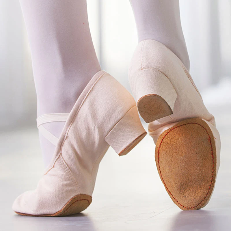 Vrouwen Dansschoenen Meisjes Ballet Jazz Salsa Schoenen