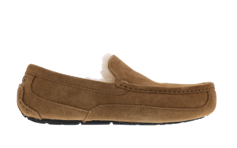 UGG Heren Ascot pantoffels
